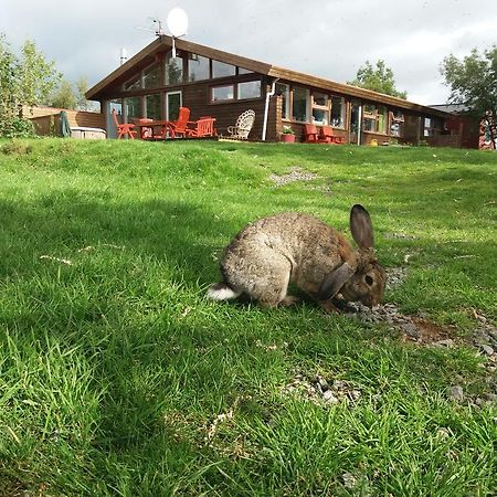 بيت شباب Geysir Hestar Haukadalur المظهر الخارجي الصورة
