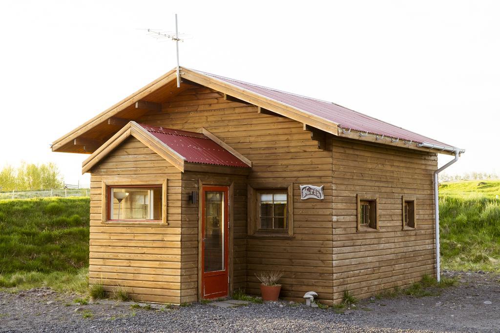 بيت شباب Geysir Hestar Haukadalur المظهر الخارجي الصورة